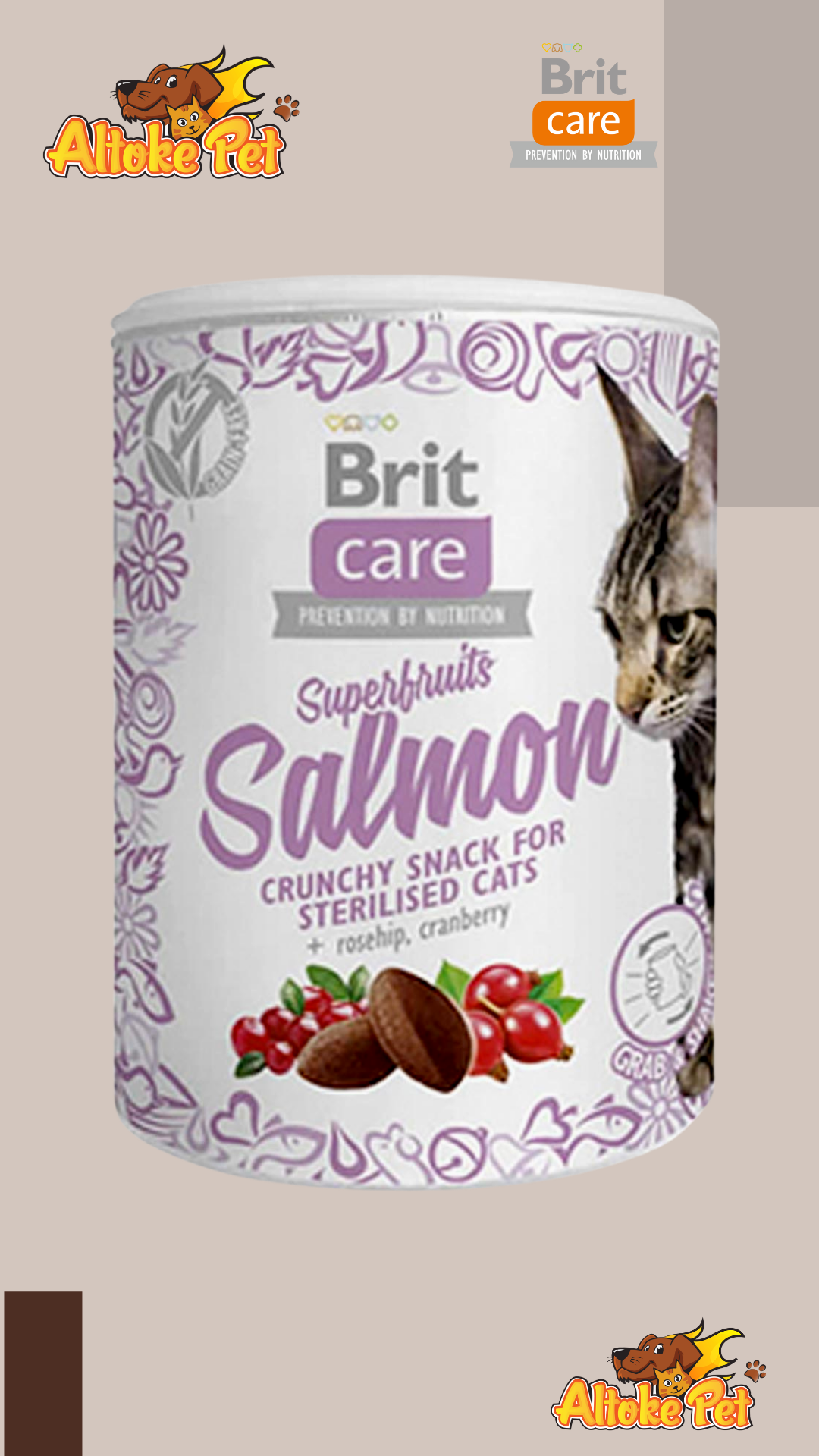 Brit Care Superfruit Salmon 100 Gr