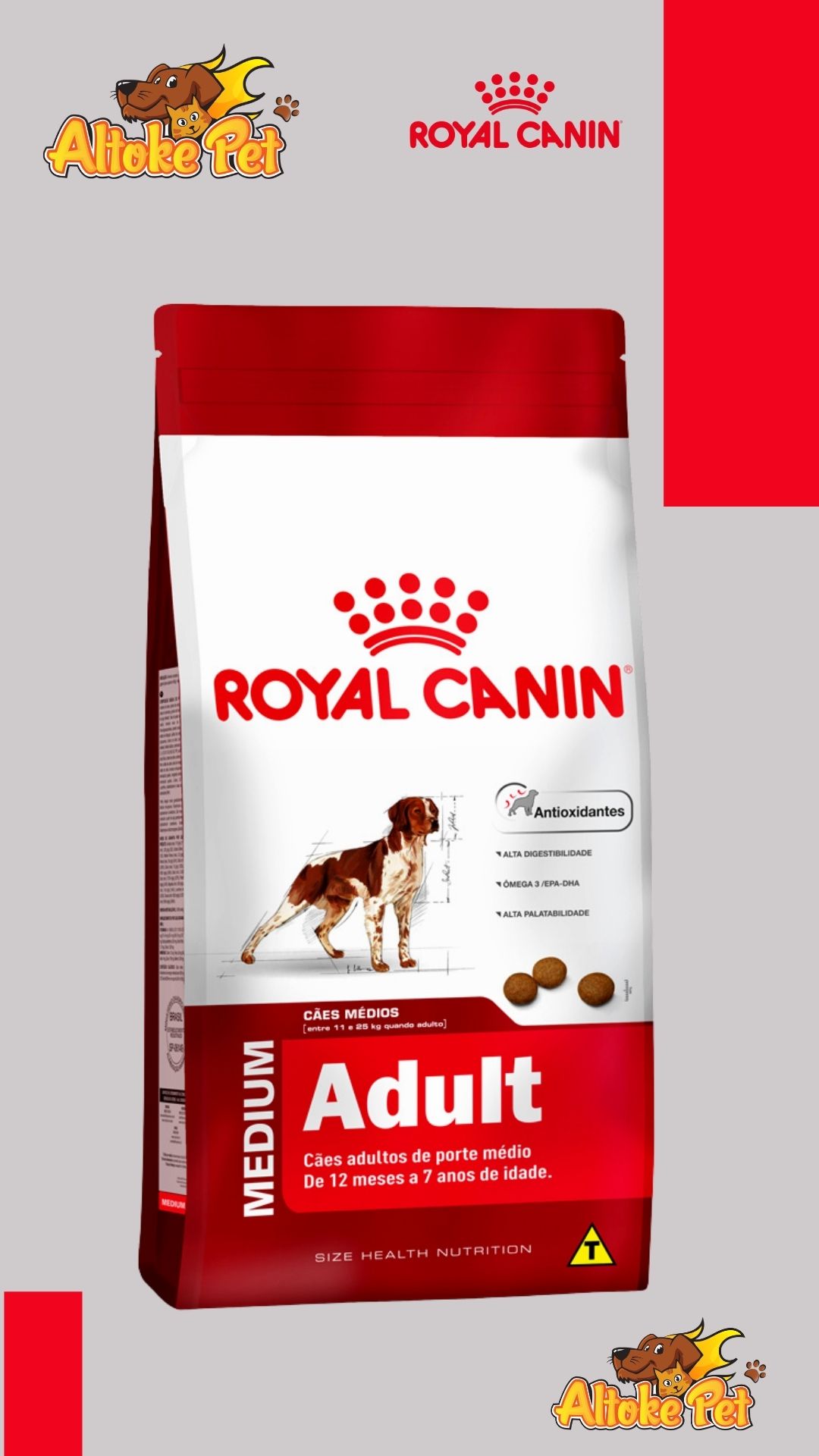 Altoke Pet - Royal Canin Medium Adulto