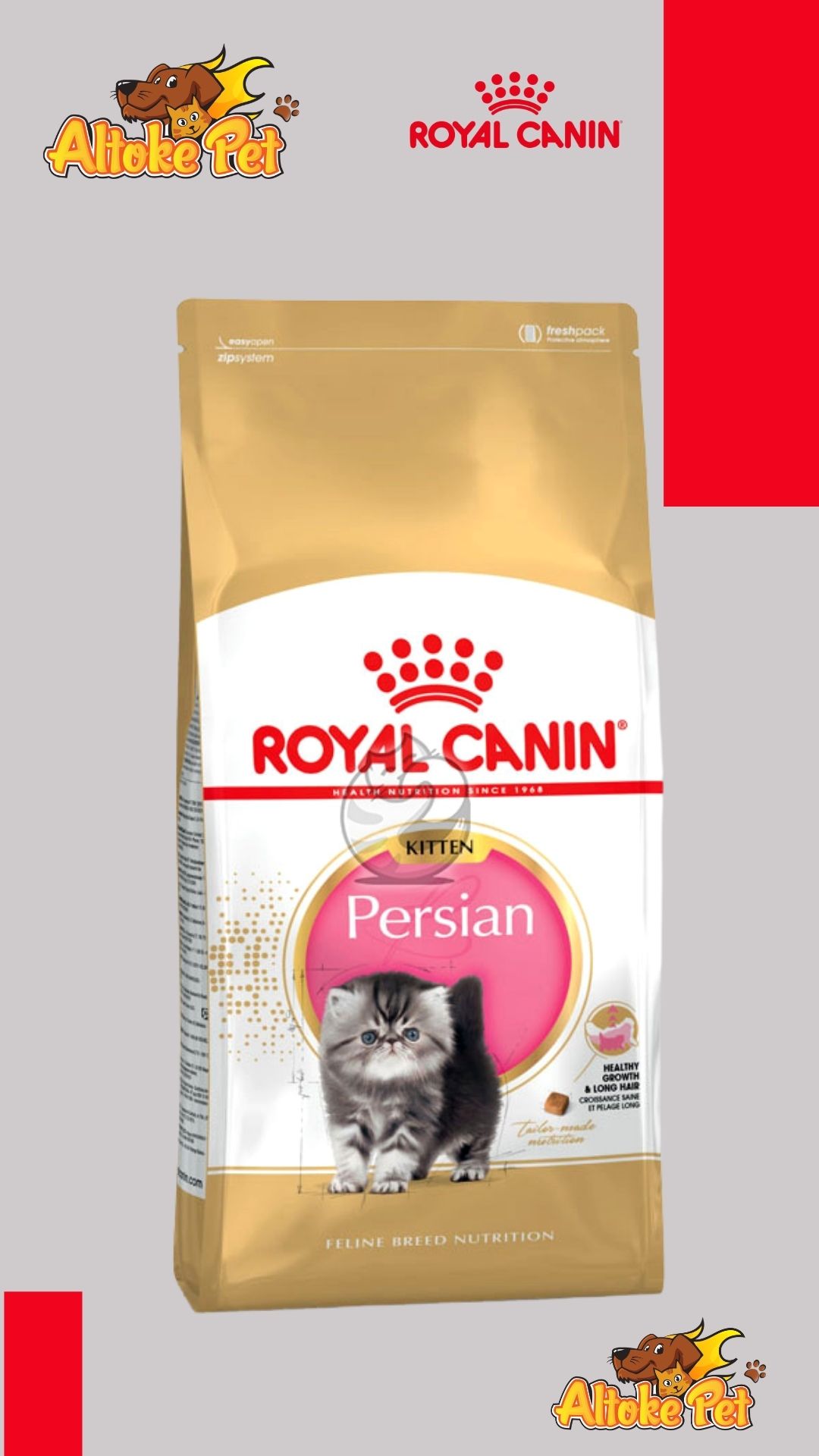 Royal Canin Persian Kitten 2 - 4 y 10 Kg
