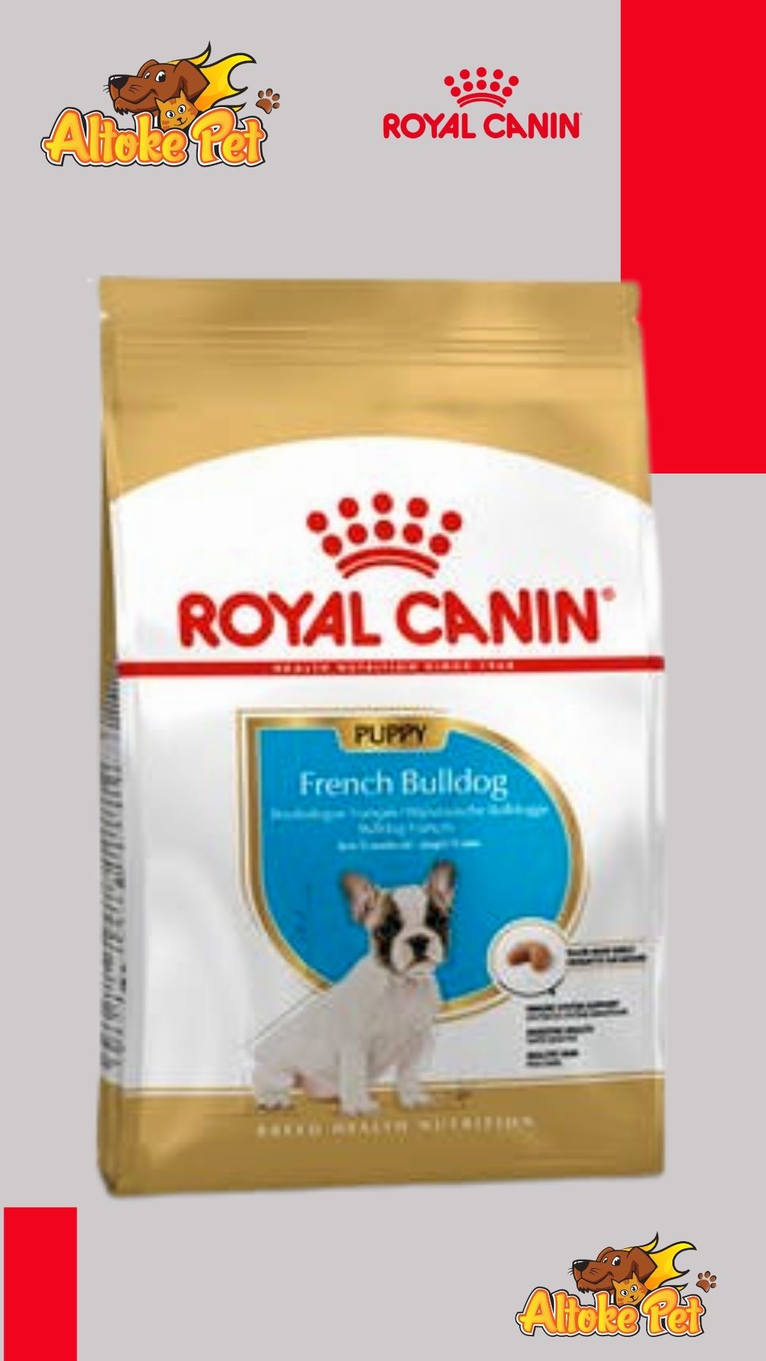 Royal Canin Bulldog Frances Puppy 3 y 10 Kg