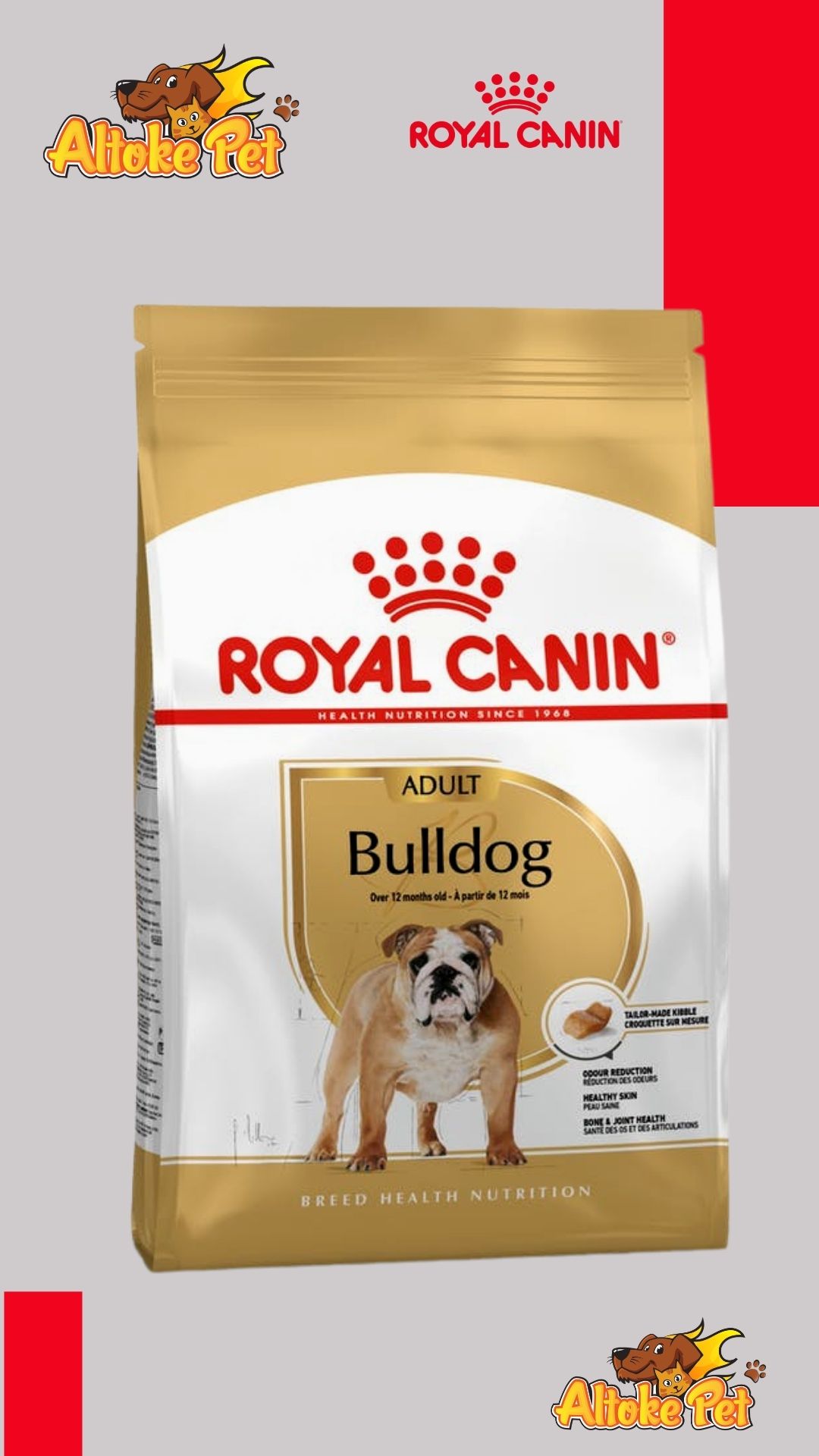 Royal Canin Bulldog Ingles Adulto 3 y 12 Kg