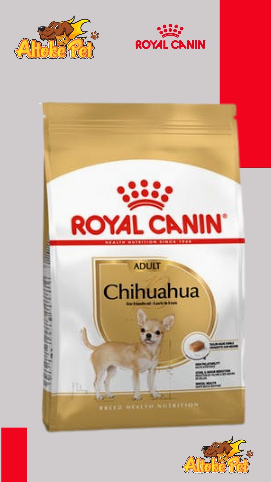 Altoke Pet - Royal Canin Chihuahua Adulto