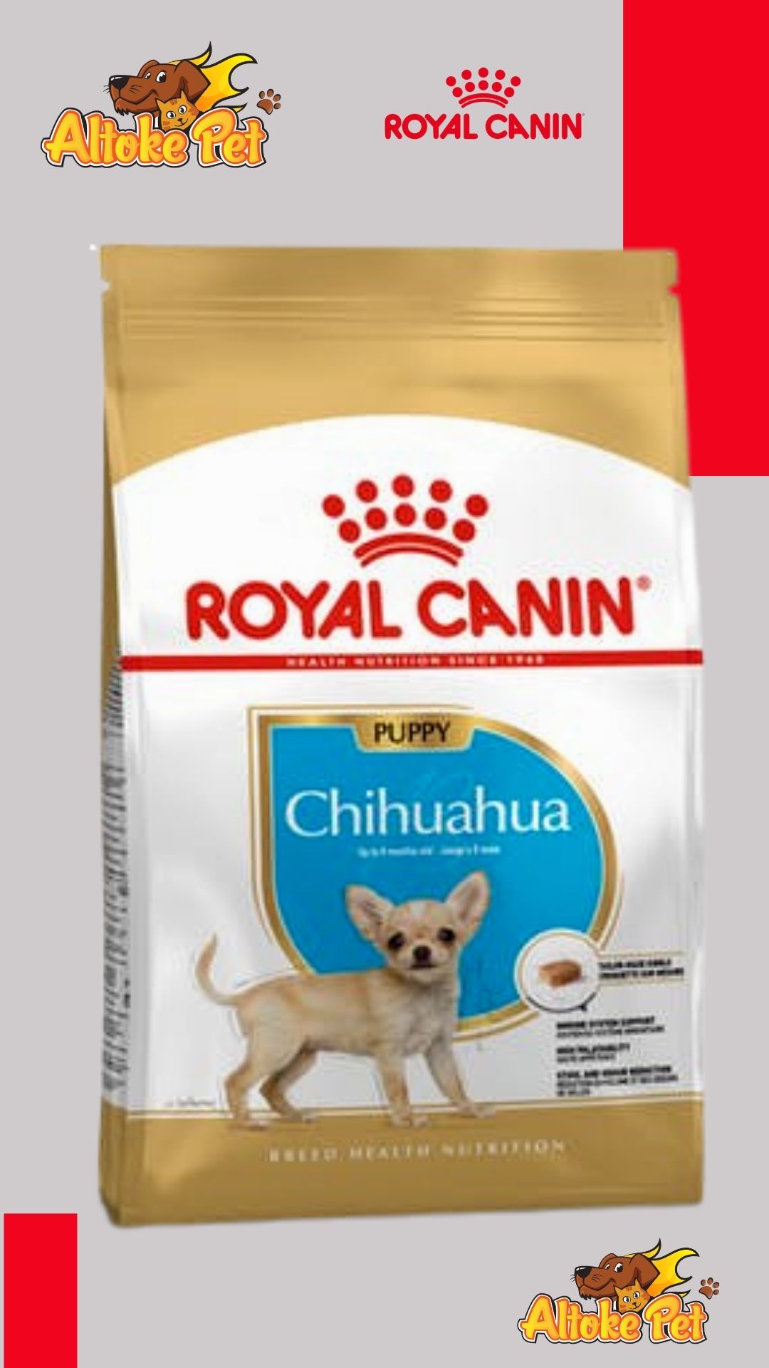 Altoke Pet - Royal Canin Chihuahua Puppy