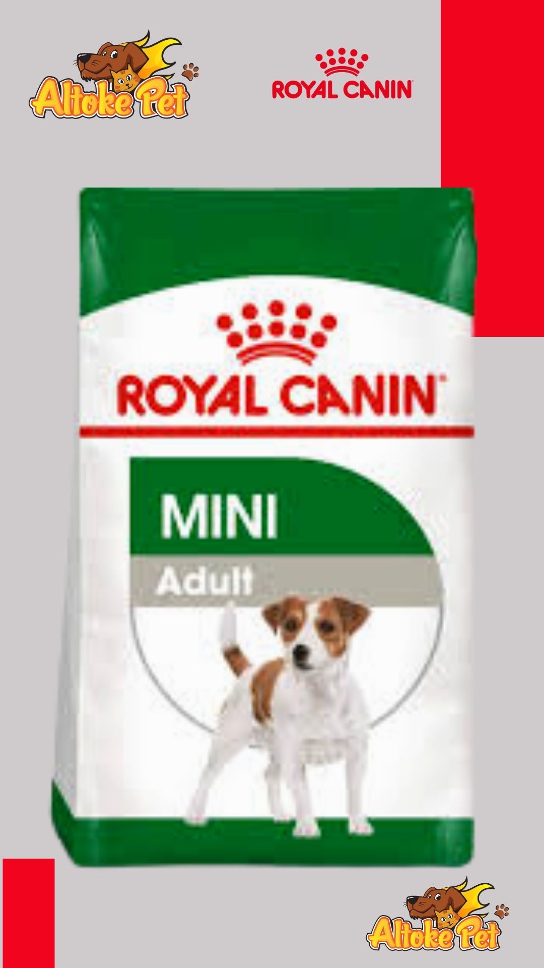 Altoke Pet - Royal Canin Mini Adulto